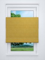 Raffrollo professional in grün