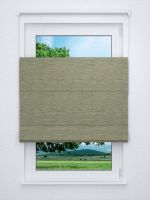 Raffrollo professional in grün