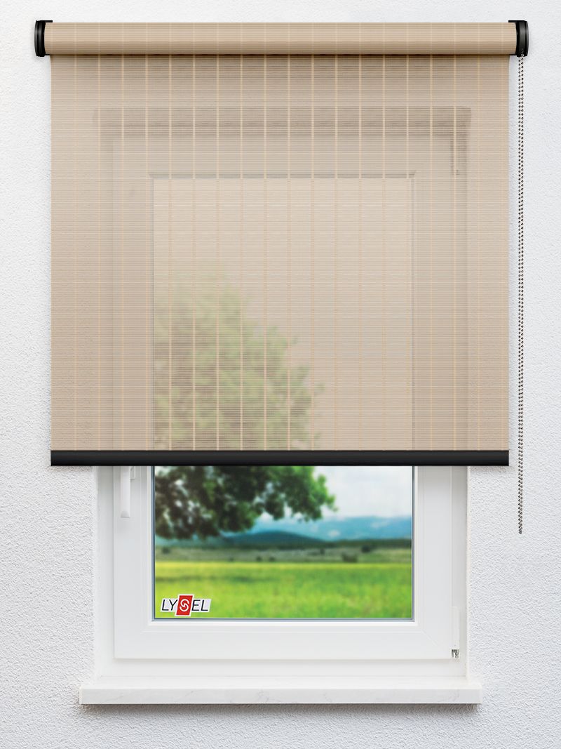 R2.777 Fensteransicht