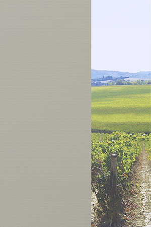 Preview Abbeville 810-2 2