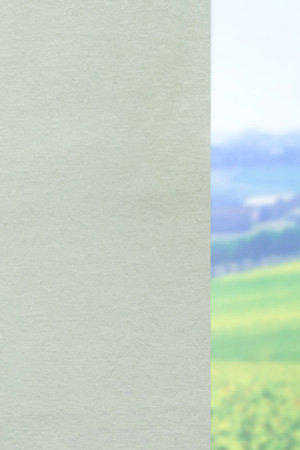 Preview Braga 6317 2