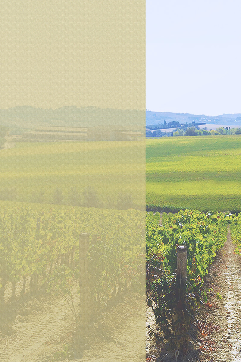 Preview Cervione 937-4fl 2