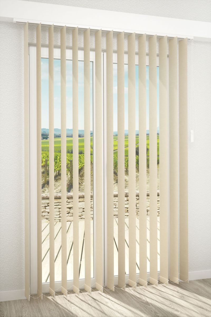 Preview Lamelle Bacoli 2002.1165 3