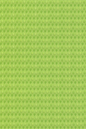 Preview Shadow 6004.1087 6