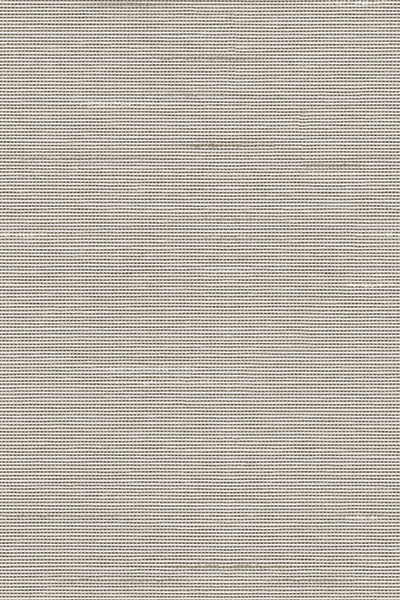 Lamelle Bacoli 2003.1166