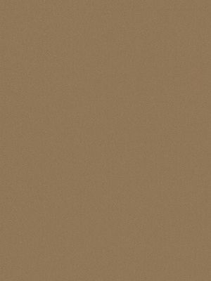 Detailansicht Saalach 81.050