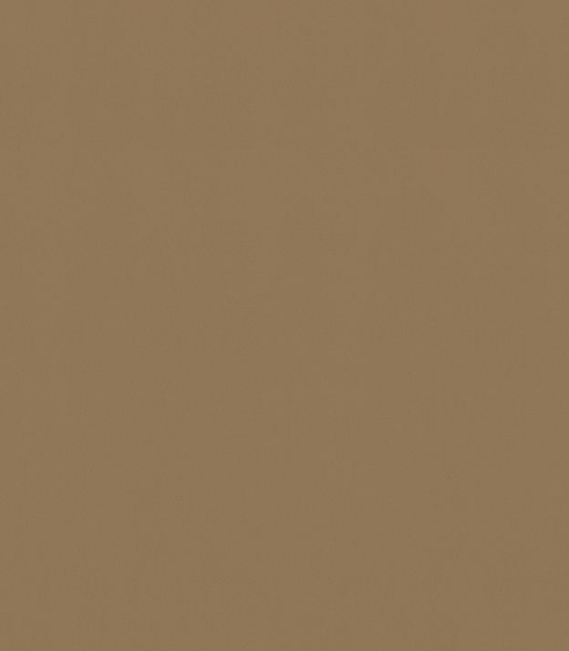 Detailansicht Saalach 81.050