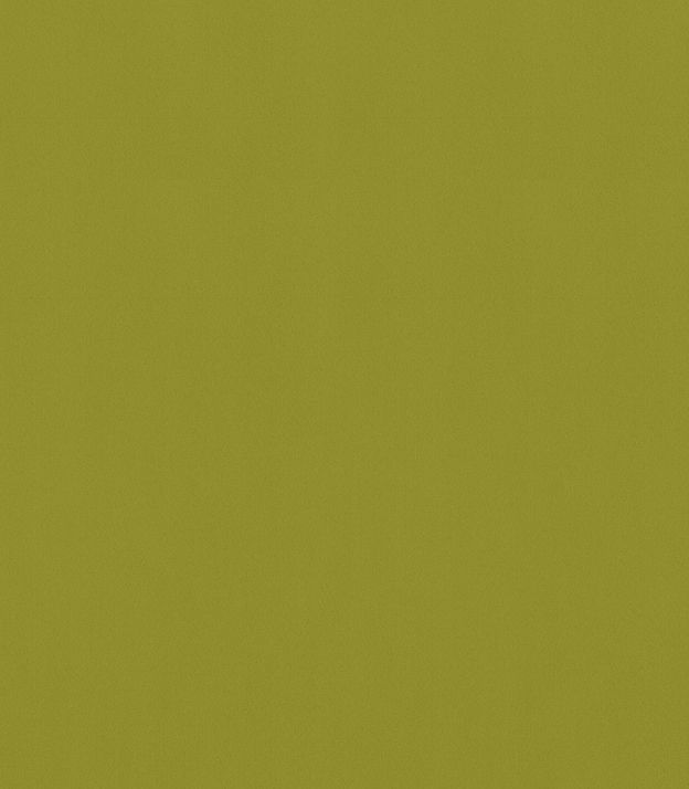 Detailansicht Saalach 98.050