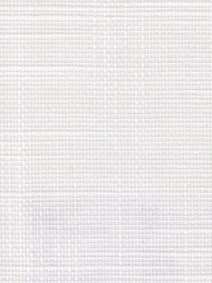 Detailansicht Florenz 011080