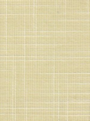 Detailansicht Florenz 035180