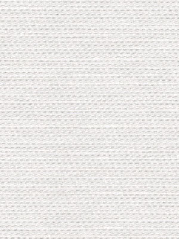 Detailansicht Lamelle Sri Lanka 2004.1108