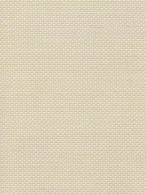 Detailansicht Rocket 022416