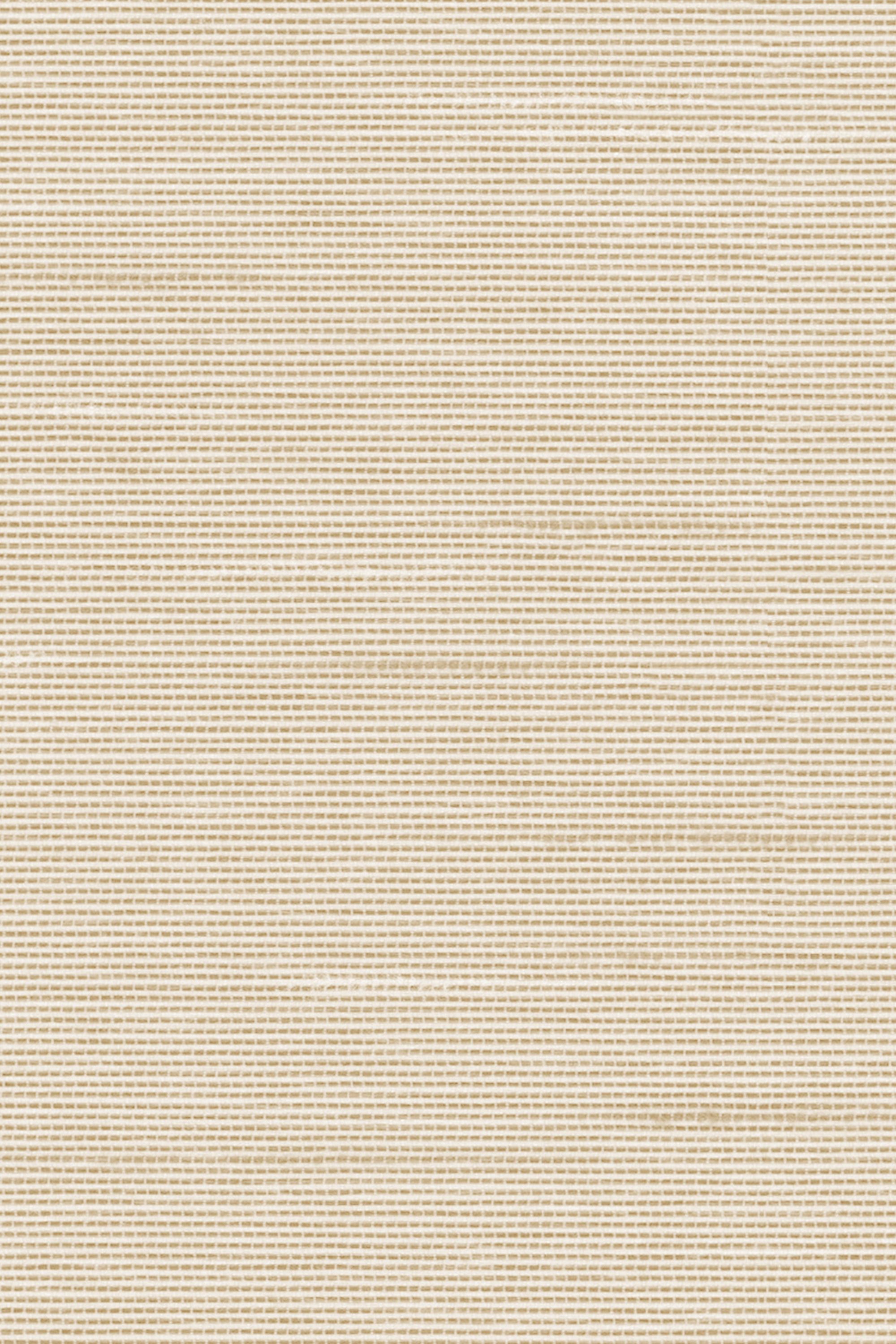 Detailansicht Lamelle Bacoli 2002.1165