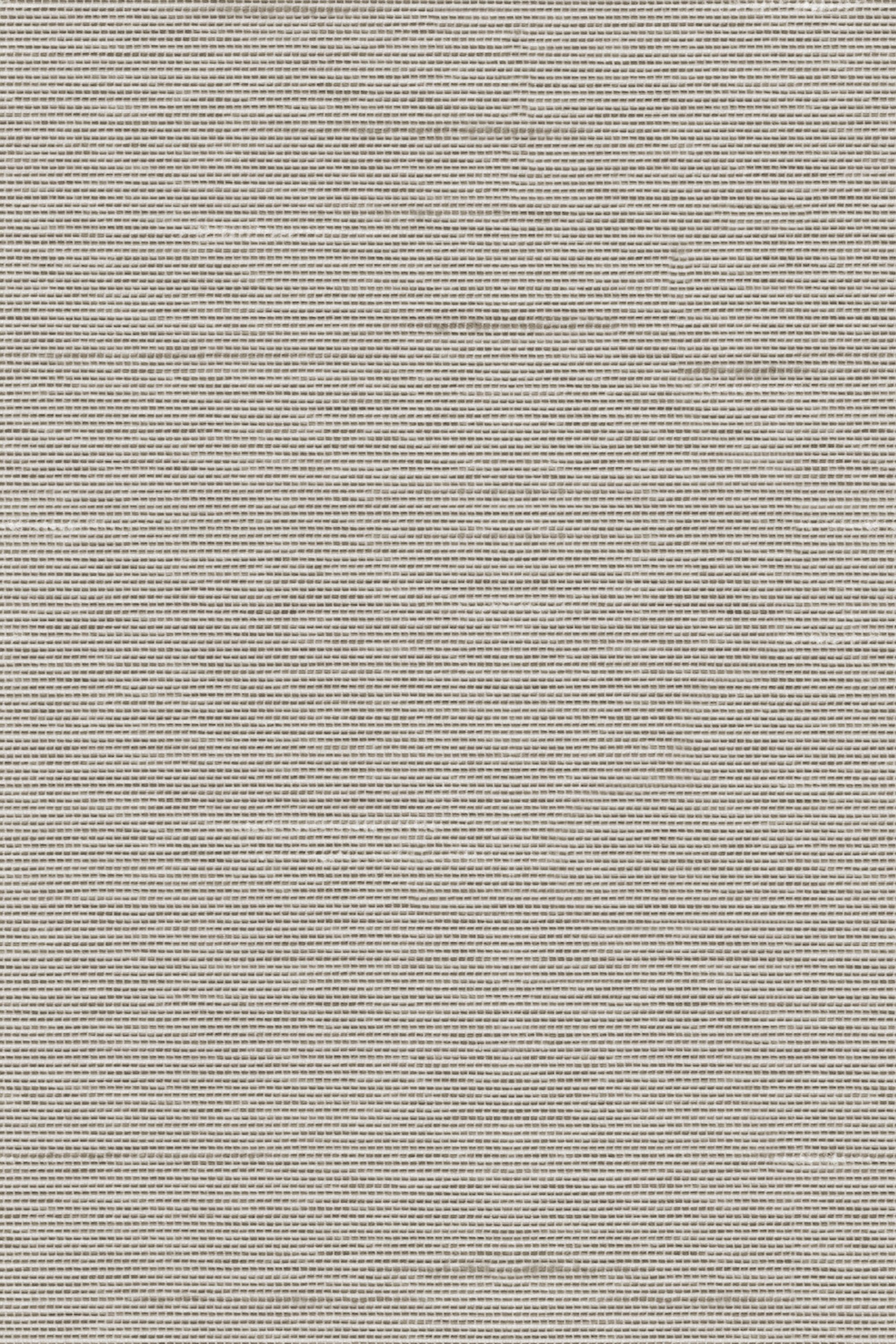 Detailansicht Lamelle Bacoli 2003.1166