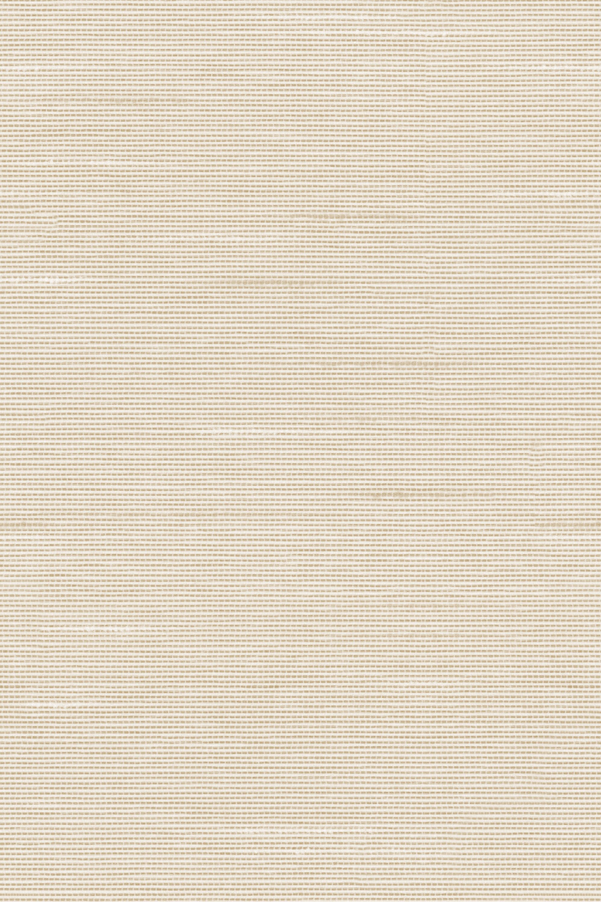 Detailansicht Lamelle Bacoli BO 2002.1184