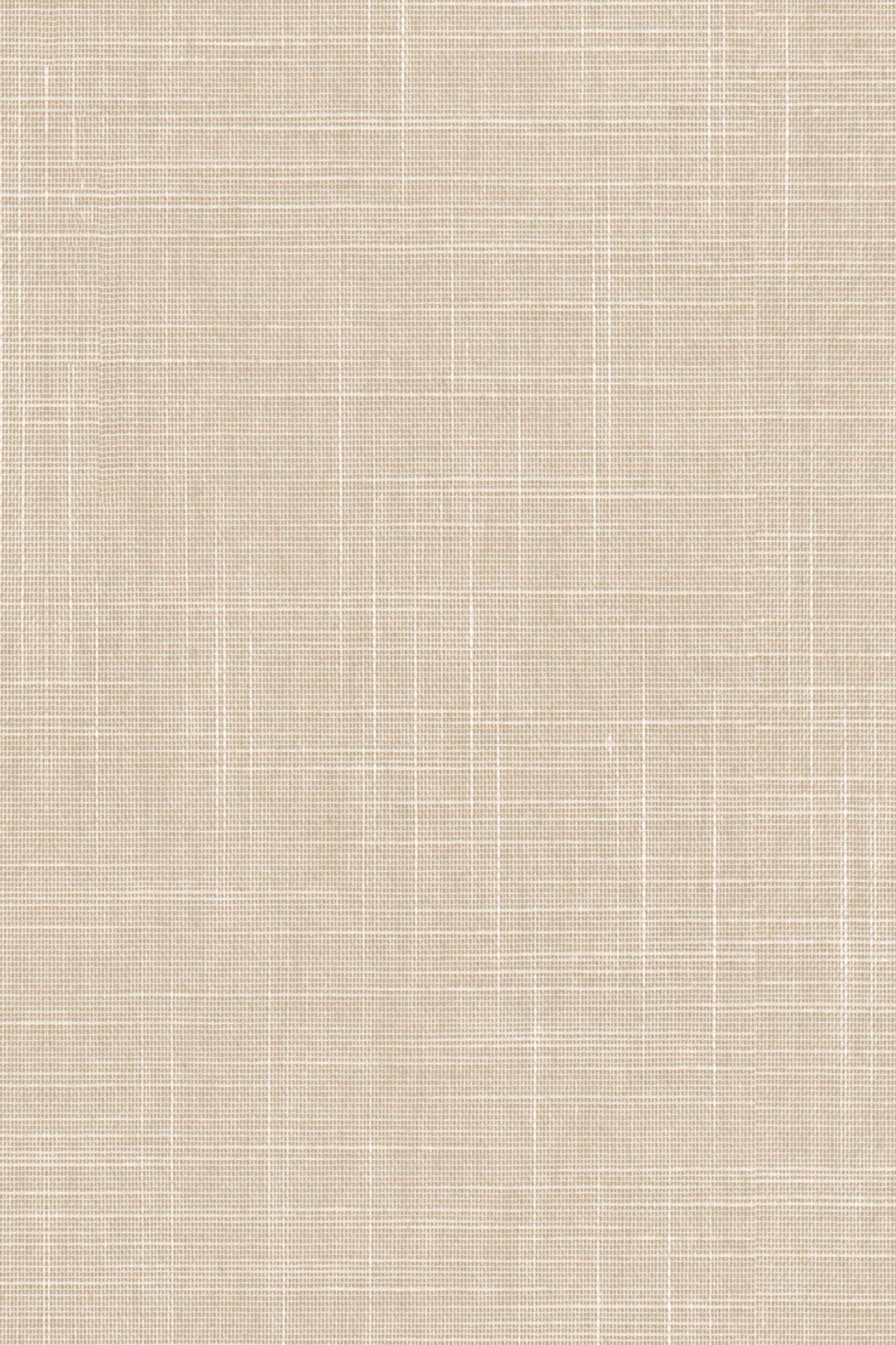 Detailansicht Lamelle Aversa 2003.1135