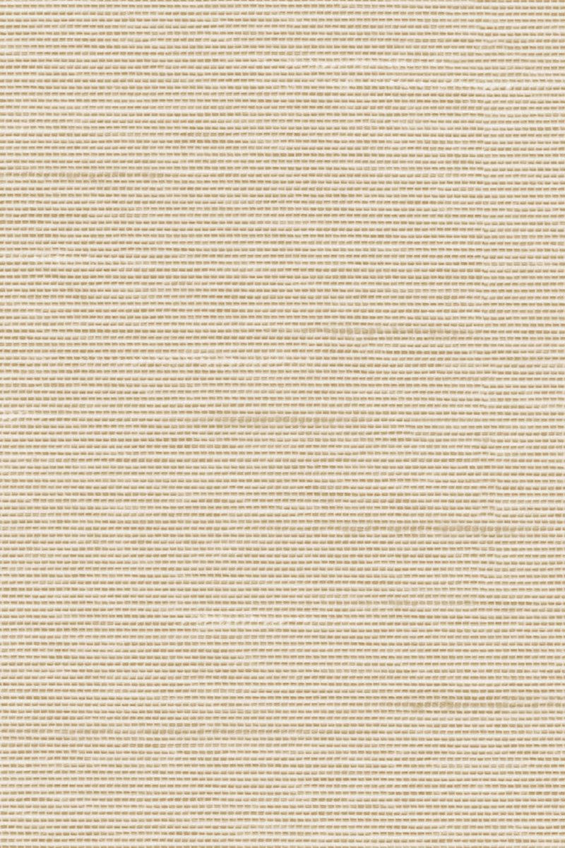 Preview Lamelle Bacoli 2002.1165 5