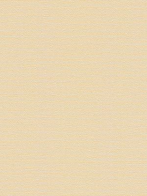 Pepitta Perlex 61.040