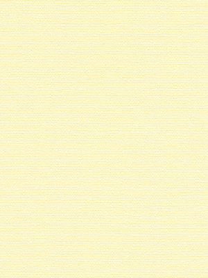 Pepitta Perlex 71.040