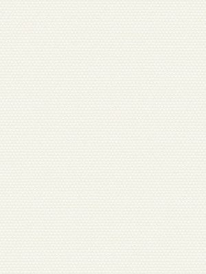 Saalach 12.050 Saalach 12.050