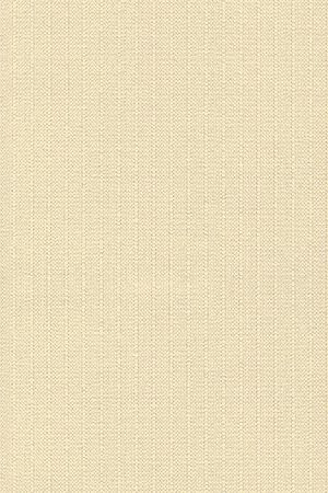 Paperwhite 2002.1002
Paperwhite 2002.1002