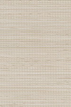 Noppe 2004.1022 Noppe 2004.1022