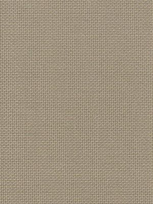 Earth Perlex 076926 Earth Perlex 076926