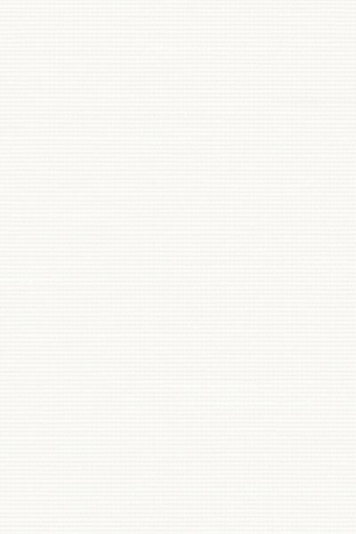 Lamelle Bacoli 1001.1164