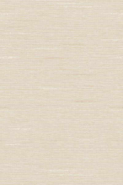 Lamelle Bacoli BO 2002.1184 Lamelle Bacoli BO 2002.1184