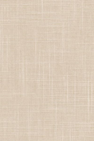 Lamelle Aversa 2003.1135 Lamelle Aversa 2003.1135