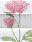 Plissee Flowery 713vs Detailansicht