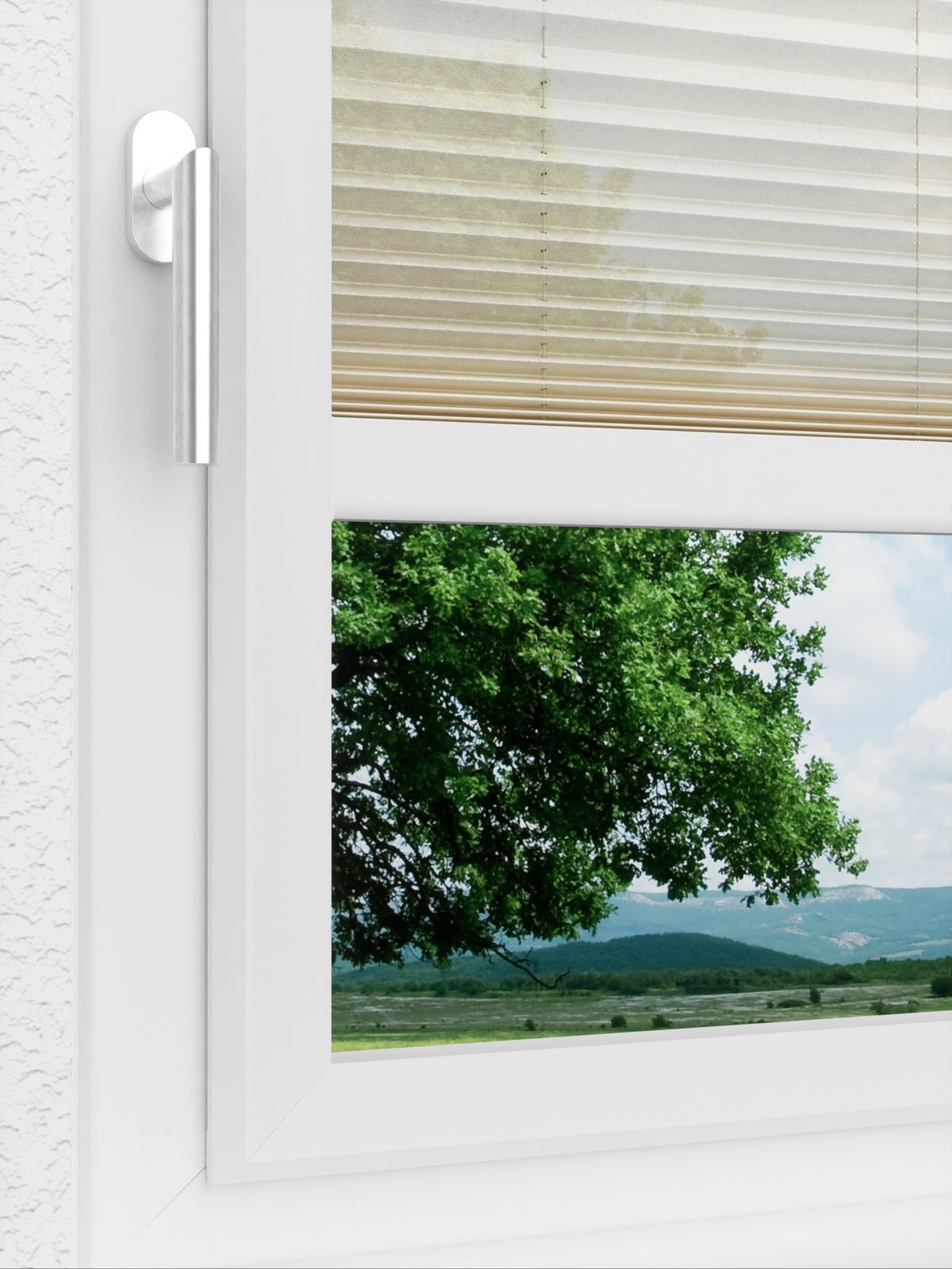 Detailansicht LYSEL HOME Plissee 226A Nohr