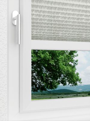 Preview LYSEL HOME Plissee 341A Casandro 3