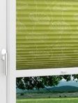 LYSEL HOME 438A  Green Leaf Fensteransicht