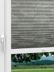 LYSEL HOME 322A  Green Leaf Fensteransicht