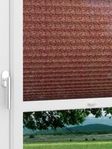 LYSEL HOME 413A Green Yard Fensteransicht