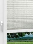 LYSEL HOME Plissee 341A Casandro Fensteransicht