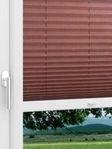 LYSEL HOME 426A Loop Fensteransicht