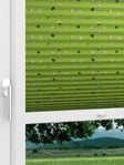 LYSEL HOME 402A Funny Sheeps Fensteransicht