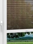 LYSEL HOME 433A Salix Fensteransicht