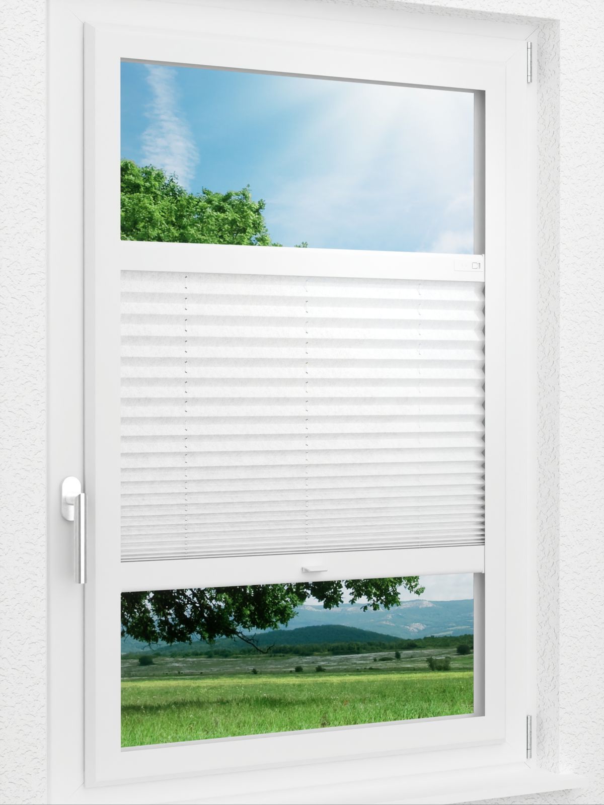 Detailansicht LYSEL HOME Plissee 204A Leif