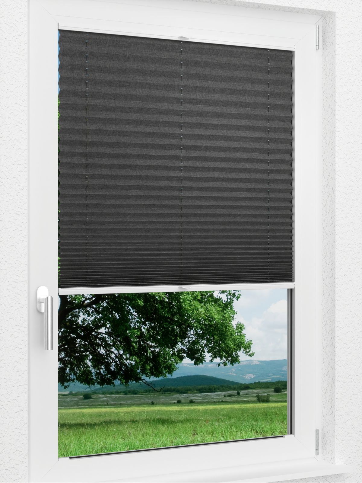 Detailansicht LYSEL HOME Plissee 117A Leja BO