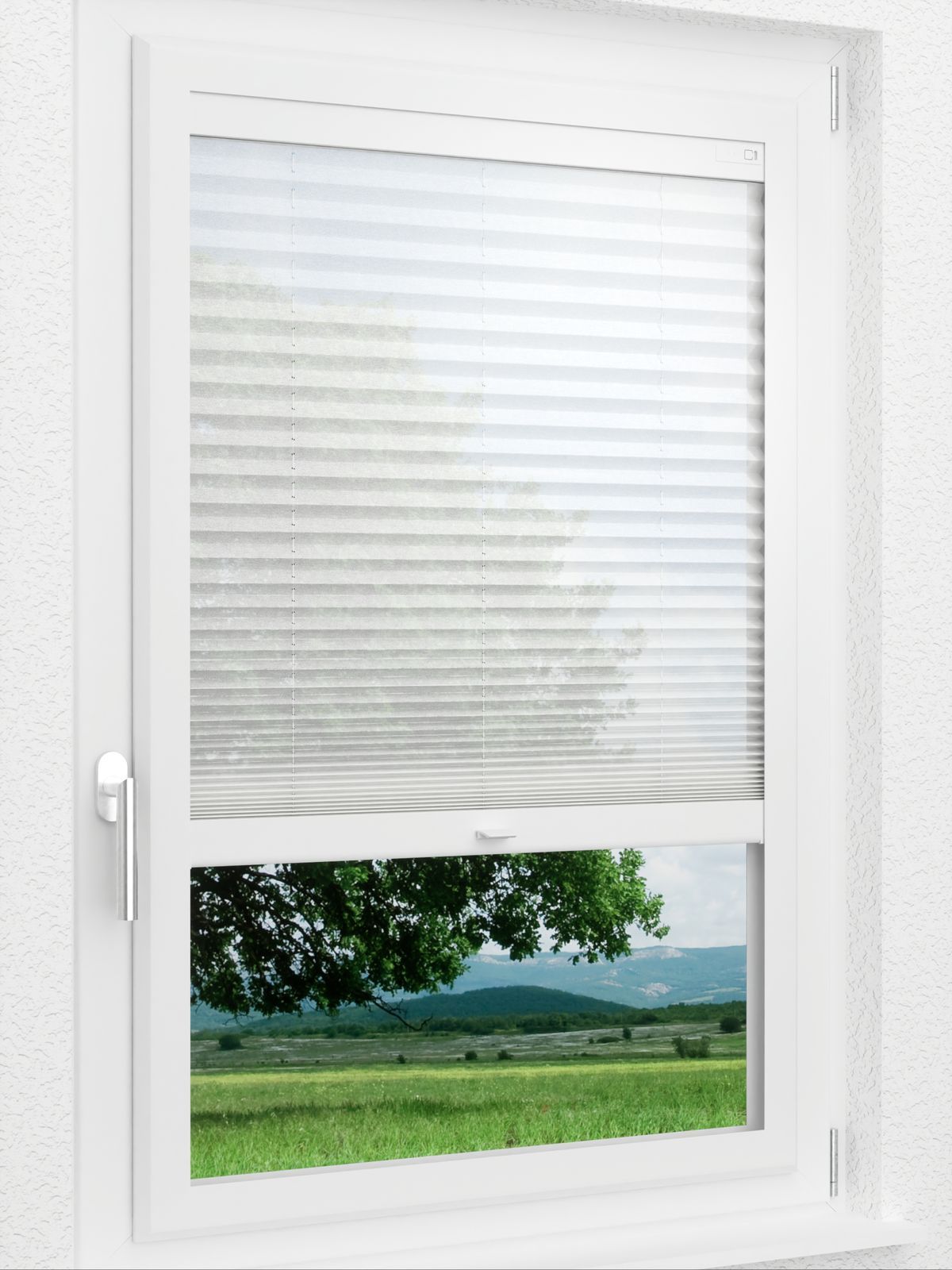 Detailansicht LYSEL HOME Plissee 118A Nohr