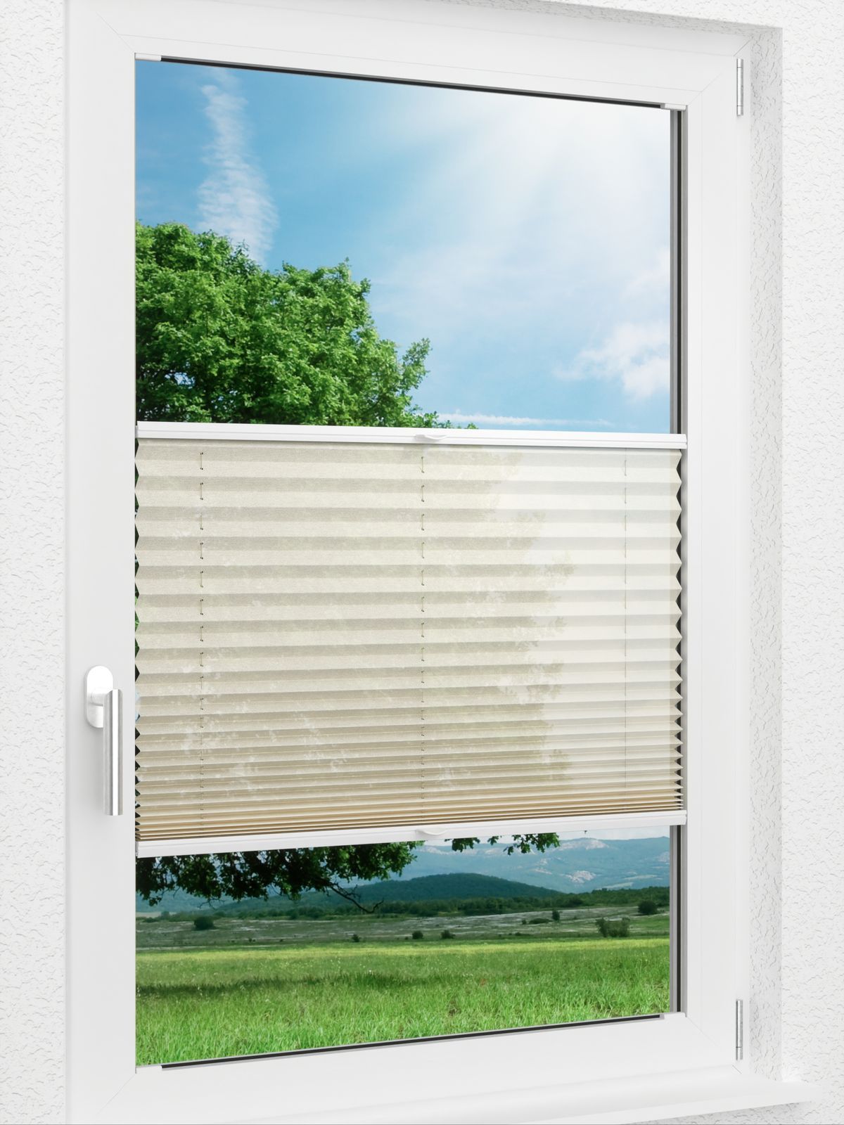 Detailansicht LYSEL HOME Plissee 226A Nohr