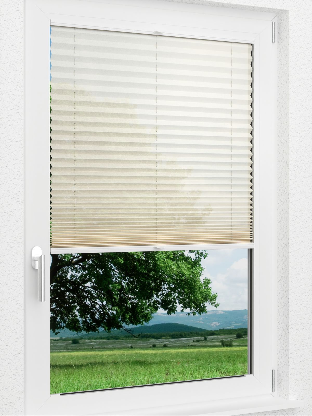 Detailansicht LYSEL HOME Plissee 226A Nohr