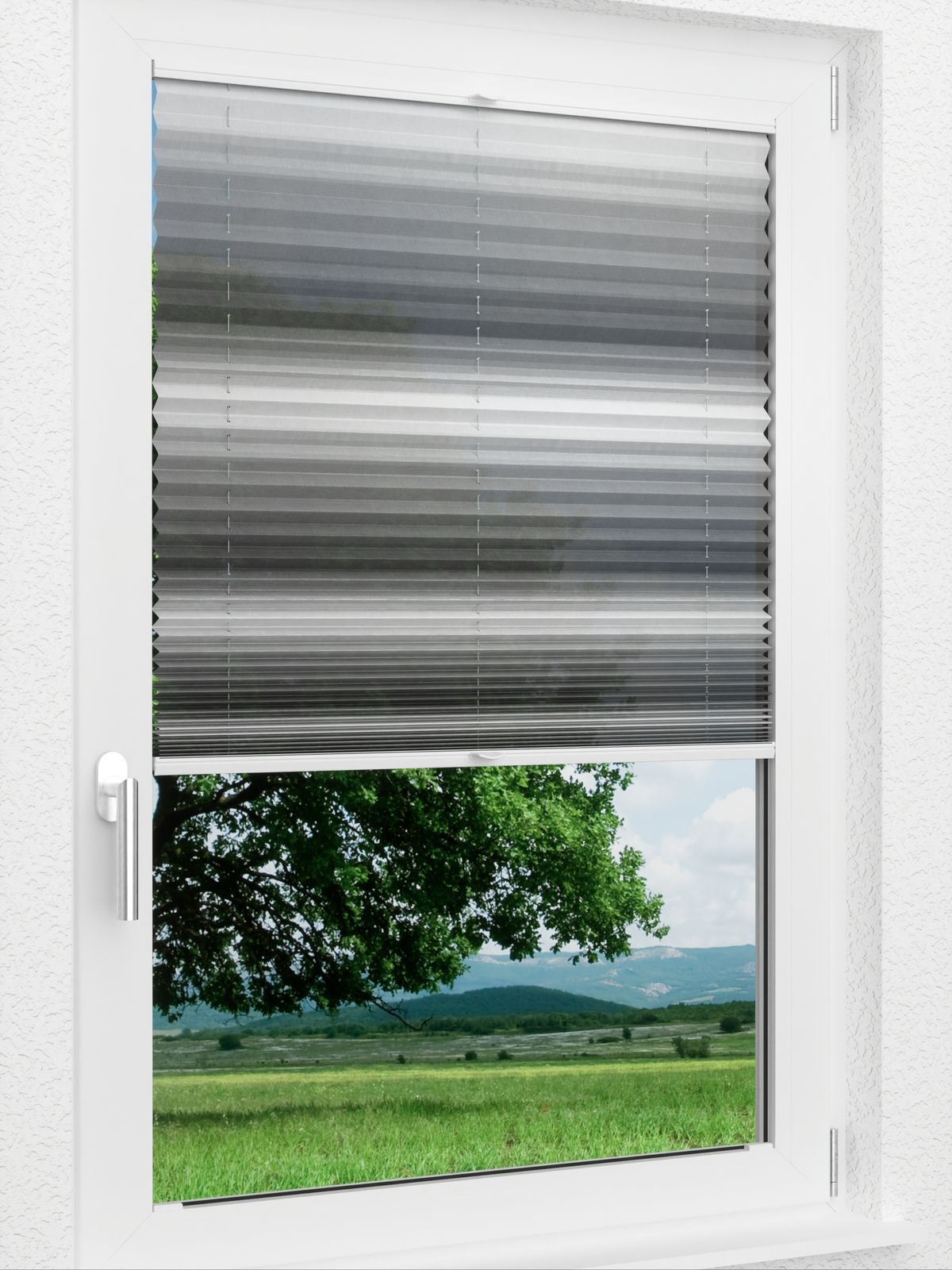 Detailansicht LYSEL HOME 418A Chroma