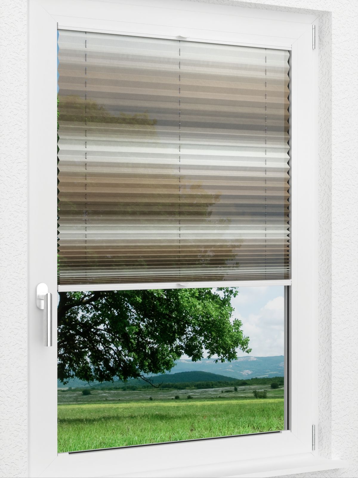 Detailansicht LYSEL HOME 335A Chroma