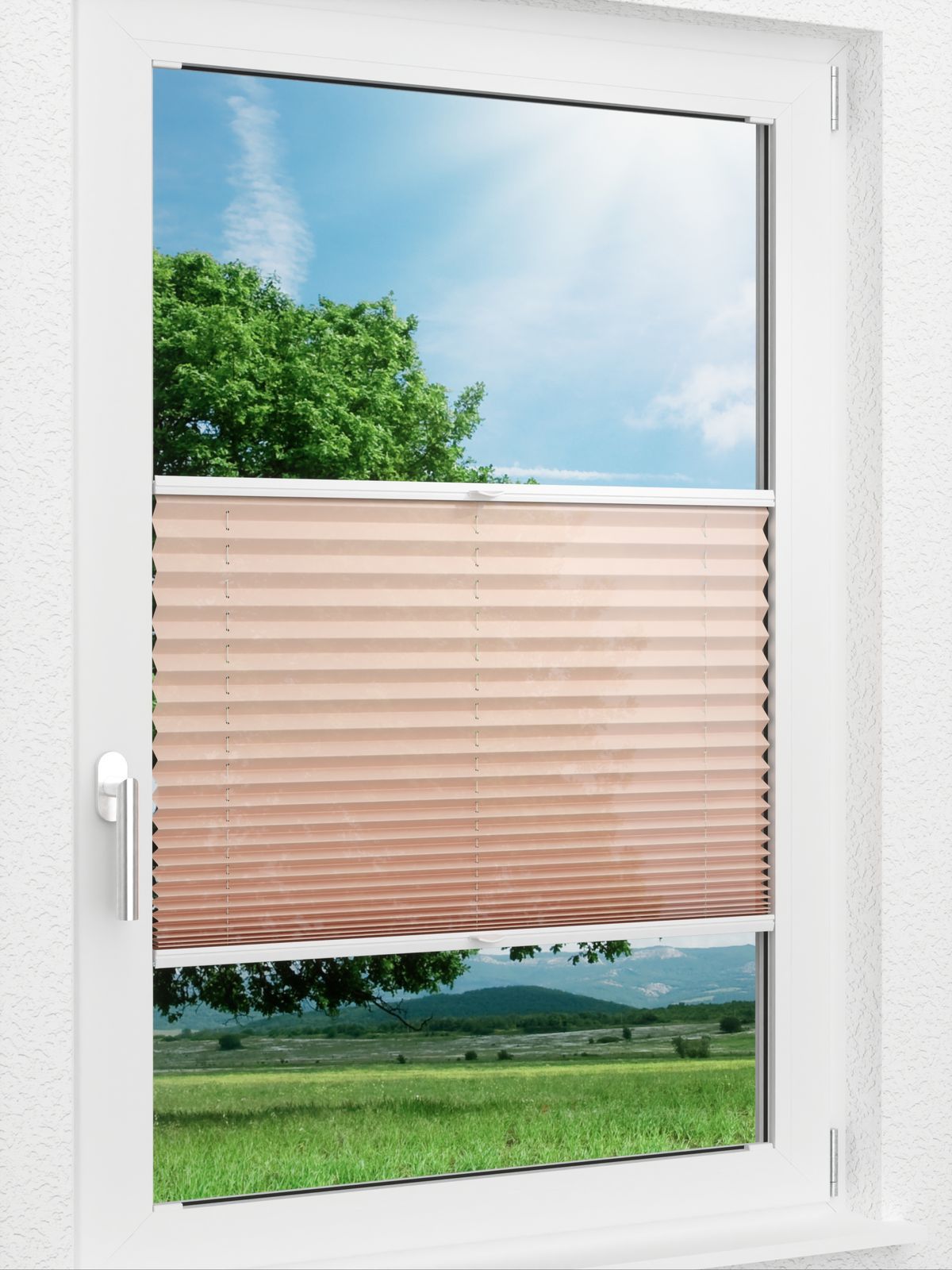 Detailansicht LYSEL HOME 440A Currant