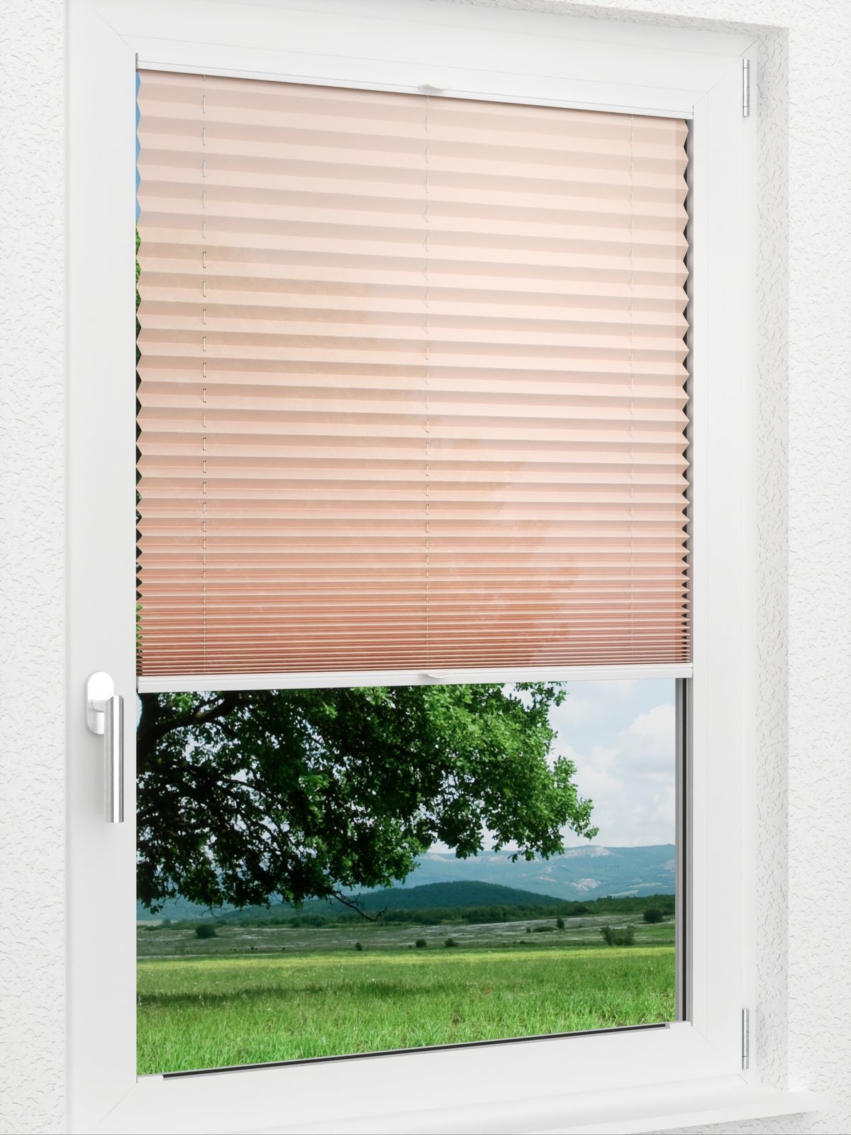 Detailansicht LYSEL HOME 440A Currant