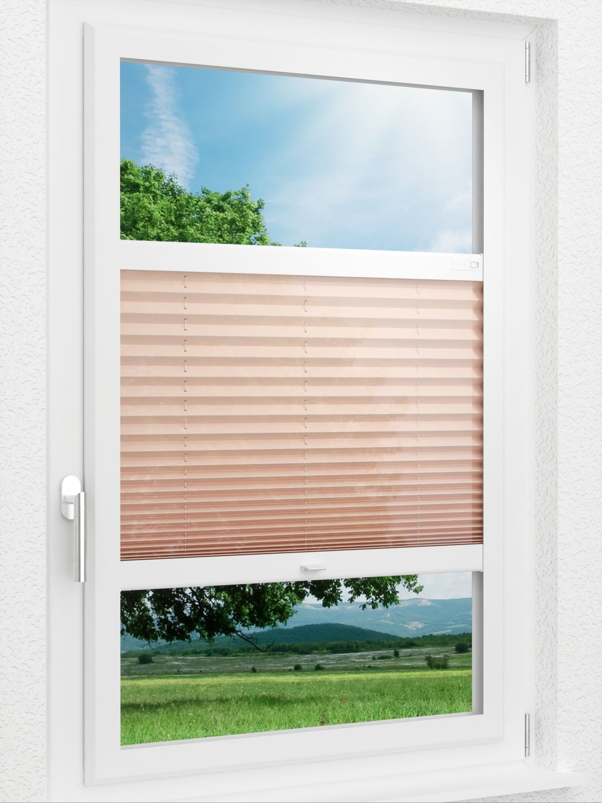 Detailansicht LYSEL HOME 440A Currant